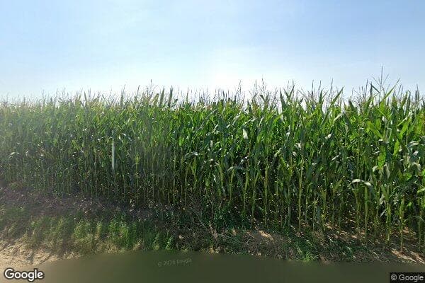 Google Street View Image