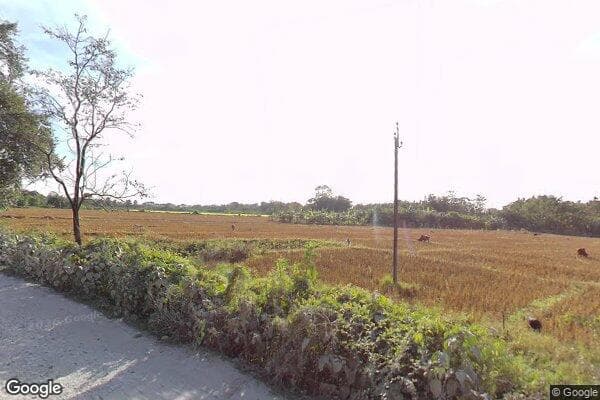 Google Street View Image