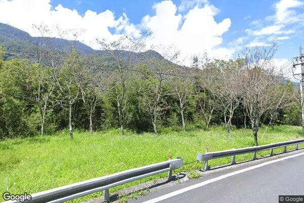 Google Street View Image