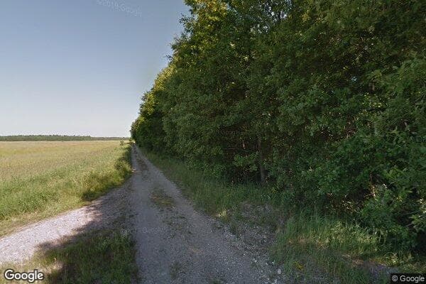 Google Street View Image