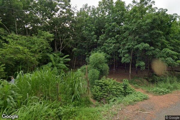 Google Street View Image