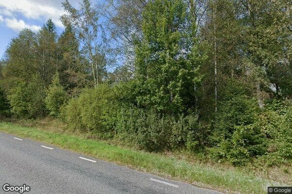 Google Street View Image