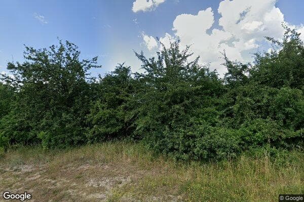 Google Street View Image