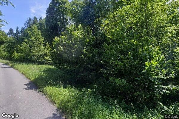 Google Street View Image