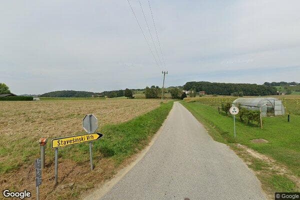 Google Street View Image