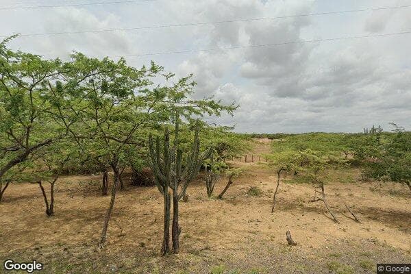 Google Street View Image