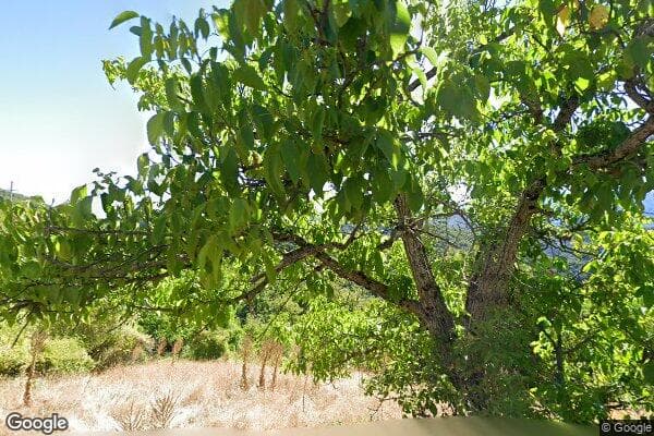 Google Street View Image