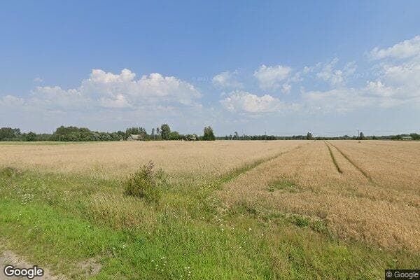 Google Street View Image