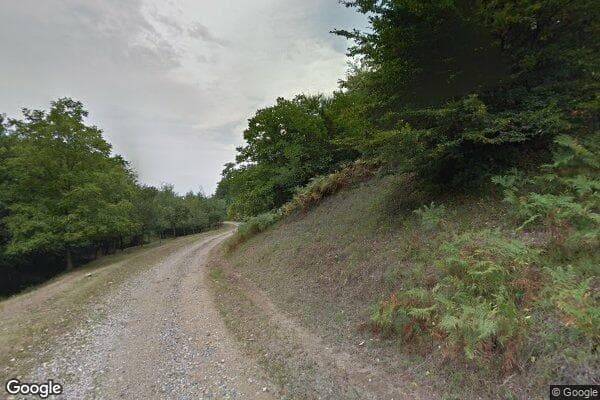 Google Street View Image