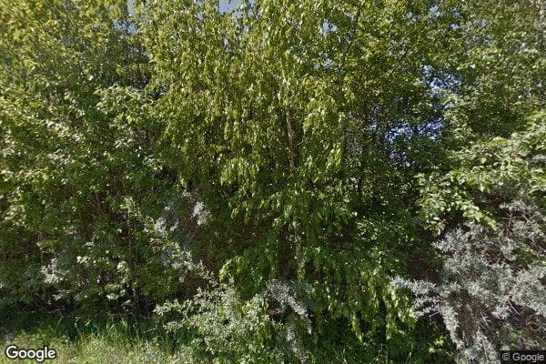 Google Street View Image