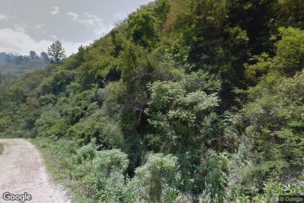 Google Street View Image