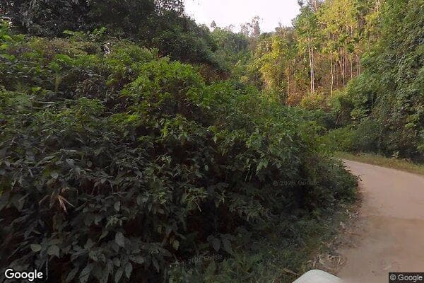 Google Street View Image