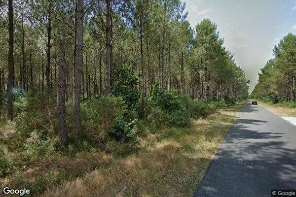 Google Street View Image