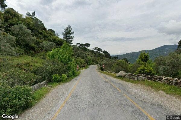Google Street View Image
